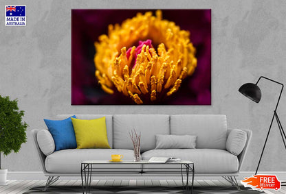 Yellow Peony Closeup View Photograph Print 100% Australian Made