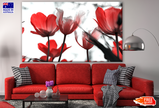 Red Tulip Flowers Closeup Print 100% Australian Made