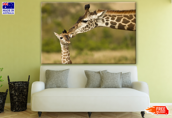 Giraffe Adult & Baby Photograph Print 100% Australian Made