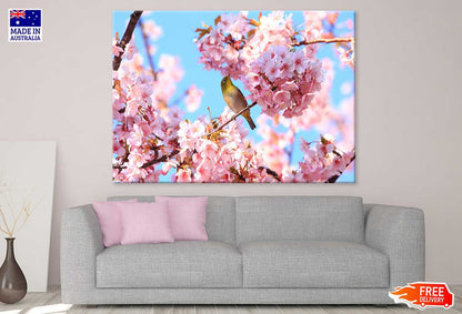 Bird on Pink Cherry Flower Tree View Photograph Print 100% Australian Made