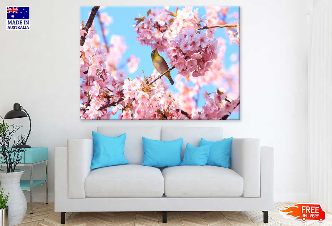 Bird on Pink Cherry Flower Tree View Photograph Print 100% Australian Made