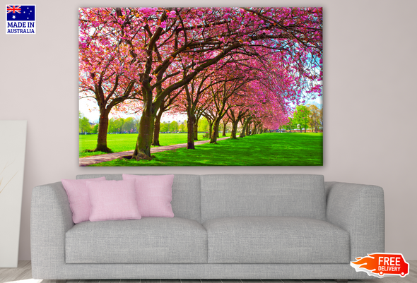 Green Lawn with Blossoming Pink Trees at Park Photograph Print 100% Australian Made