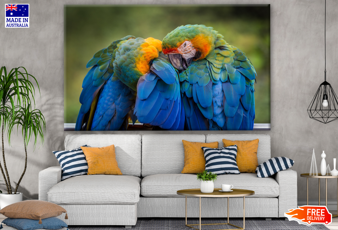 Macaw Parrot Couple Photograph Print 100% Australian Made