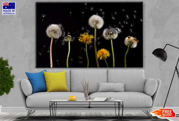 Dandelion Flowers & Flying Seeds Photograph Print 100% Australian Made