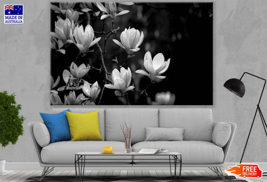 B&W Flower Tree Photograph Print 100% Australian Made