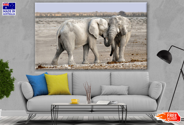 Elephants in the Middle of the Savannah Photograph Print 100% Australian Made