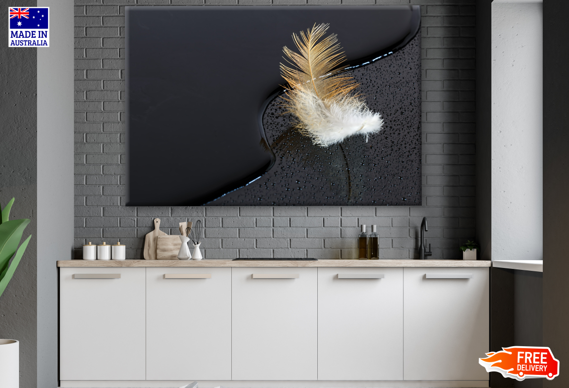 Feather Near Water Photograph Print 100% Australian Made