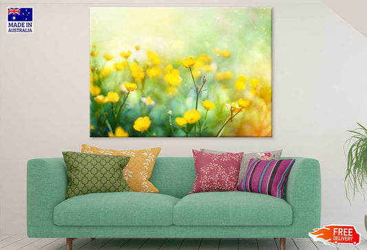 Buttercup Flower Field Photograph Print 100% Australian Made