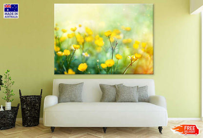 Buttercup Flower Field Photograph Print 100% Australian Made