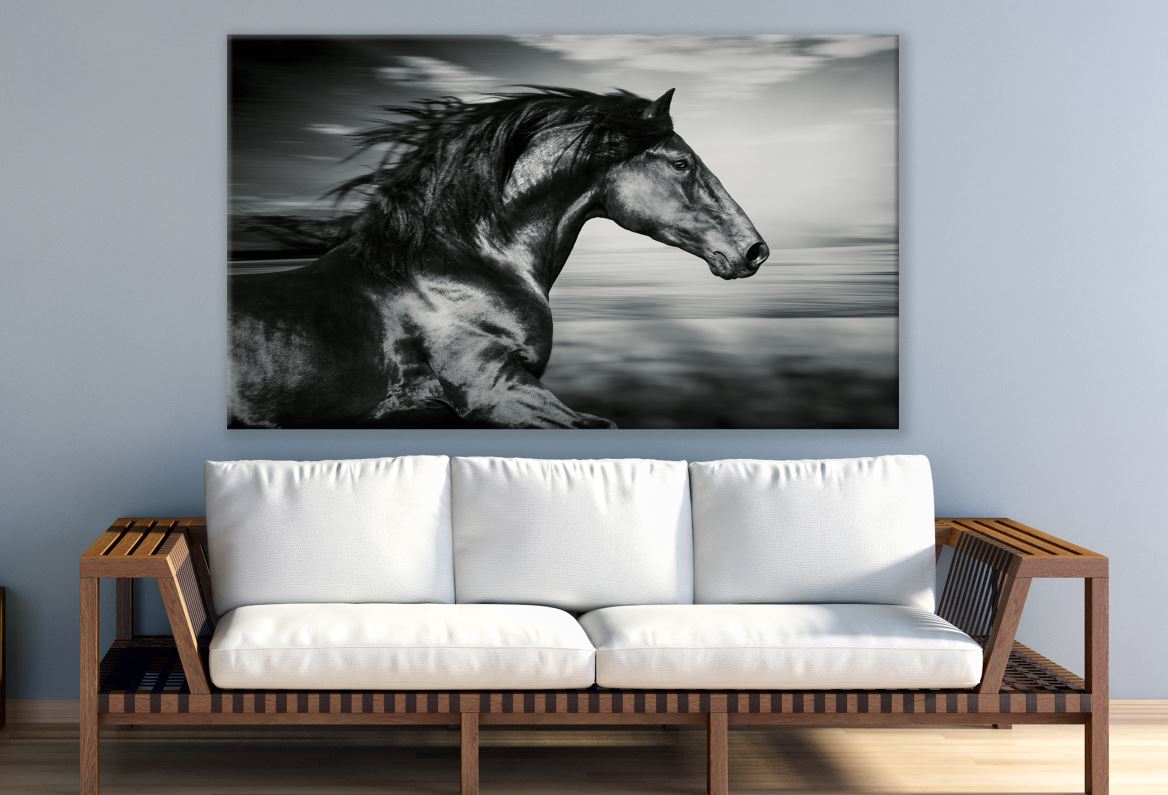 Black Horse Running Portrait Print 100% Australian Made