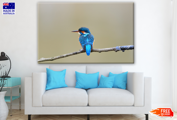Kingfisher Bird Perched on a Branch Photograph Print 100% Australian Made