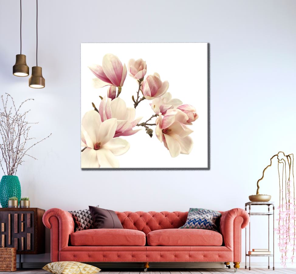 Square Canvas White & Pink Photograph High Quality Print 100% Australian Made