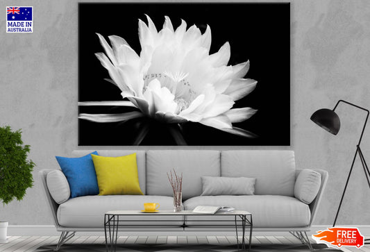 White Flower Macro B&W Photograph Print 100% Australian Made