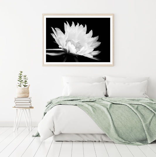White Flower Macro B&W Photograph Home Decor Premium Quality Poster Print Choose Your Sizes