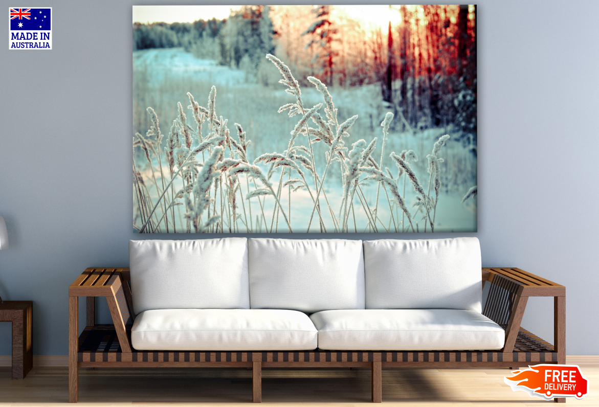 Winter Landscape with Frozen Flowers Photograph Print 100% Australian Made