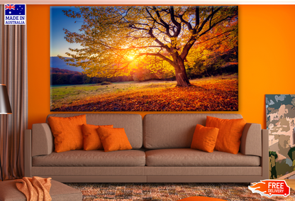 Stunning Sunset View Through Autumn Tree Photograph Print 100% Australian Made