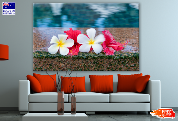 Hibiscus and Plumeria Flowers at Edge of Pool Photograph Print 100% Australian Made