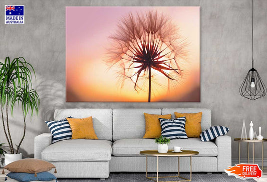 Dandelion at Sunset Photograph Print 100% Australian Made