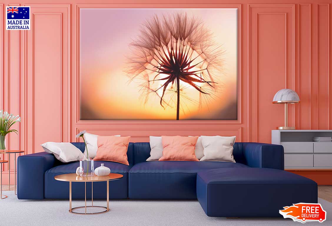 Dandelion at Sunset Photograph Print 100% Australian Made