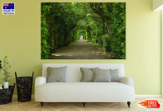 Arch Shaped Trees Photograph Print 100% Australian Made