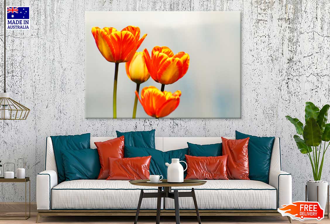 Orange Tulips Closeup View Photograph Print 100% Australian Made