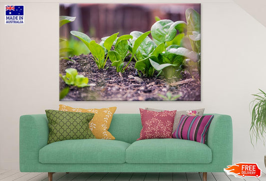 Small Plants Closeup Photograph Print 100% Australian Made