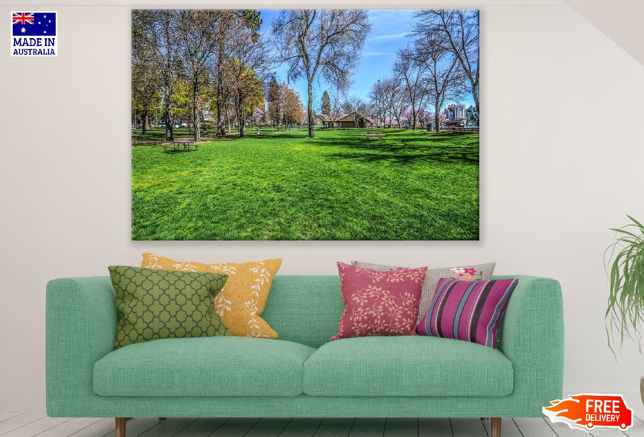 Green Grass Park with Dead Trees Photograph Print 100% Australian Made