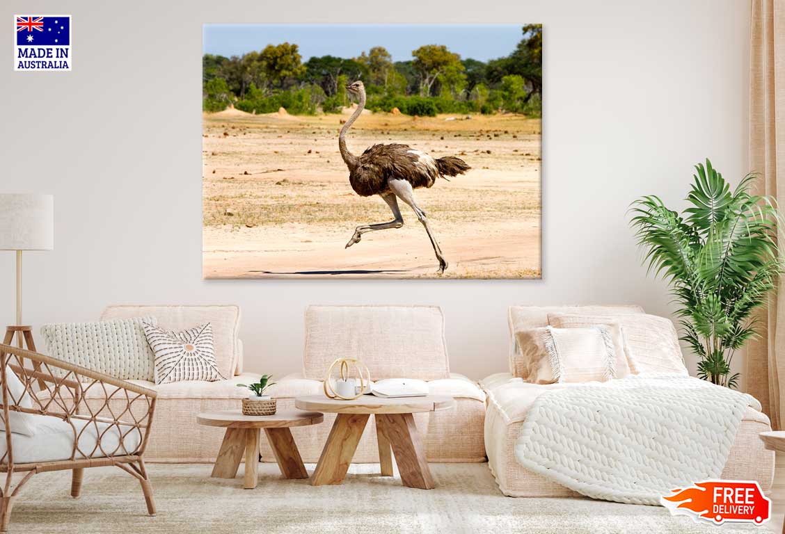 Ostrich Running View Photograph Print 100% Australian Made