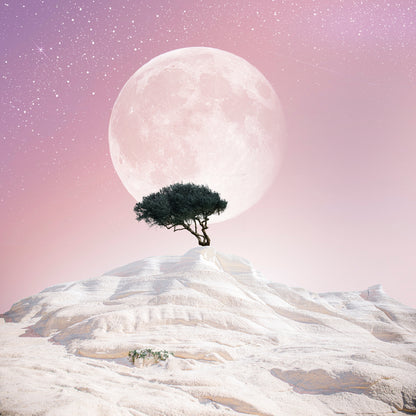 Square Canvas Lonely Tree & Moon Pink Sky View High Quality Print 100% Australian Made