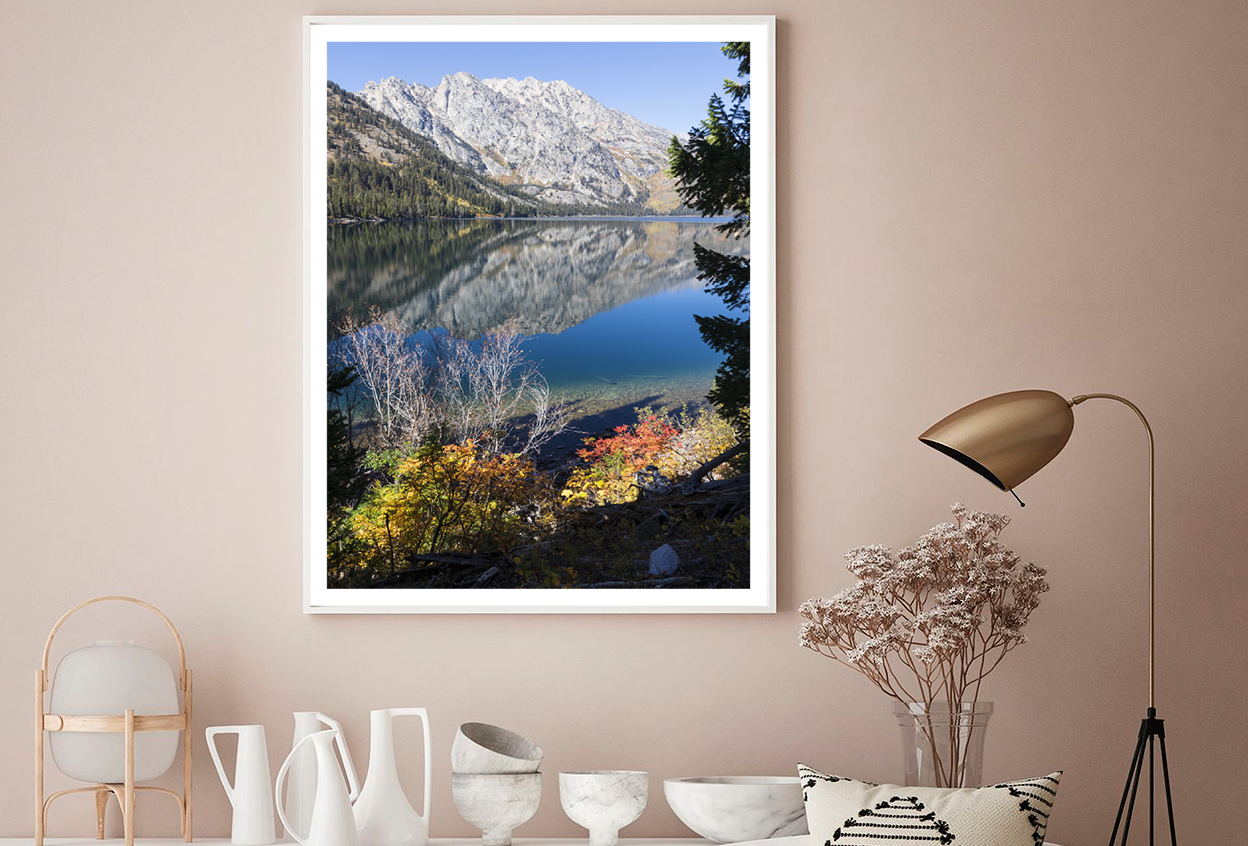 Mountain & Nature Forest View Photograph Home Decor Premium Quality Poster Print Choose Your Sizes