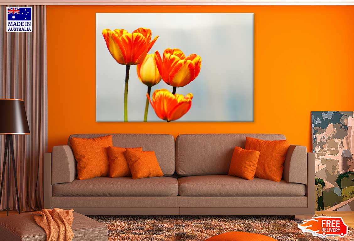 Orange Tulips Closeup View Photograph Print 100% Australian Made