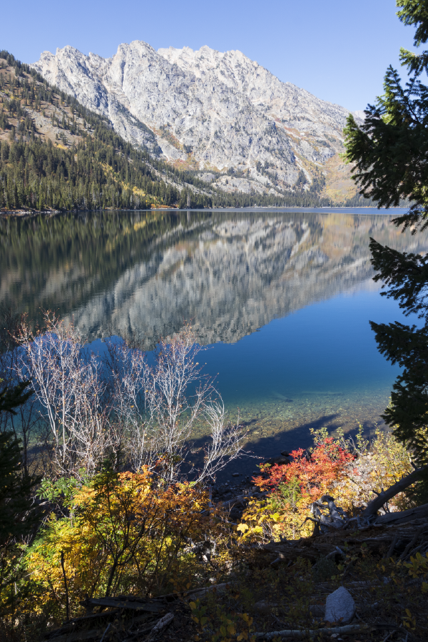 Mountain & Nature Forest View Photograph Home Decor Premium Quality Poster Print Choose Your Sizes