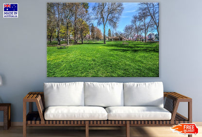 Green Grass Park with Dead Trees Photograph Print 100% Australian Made