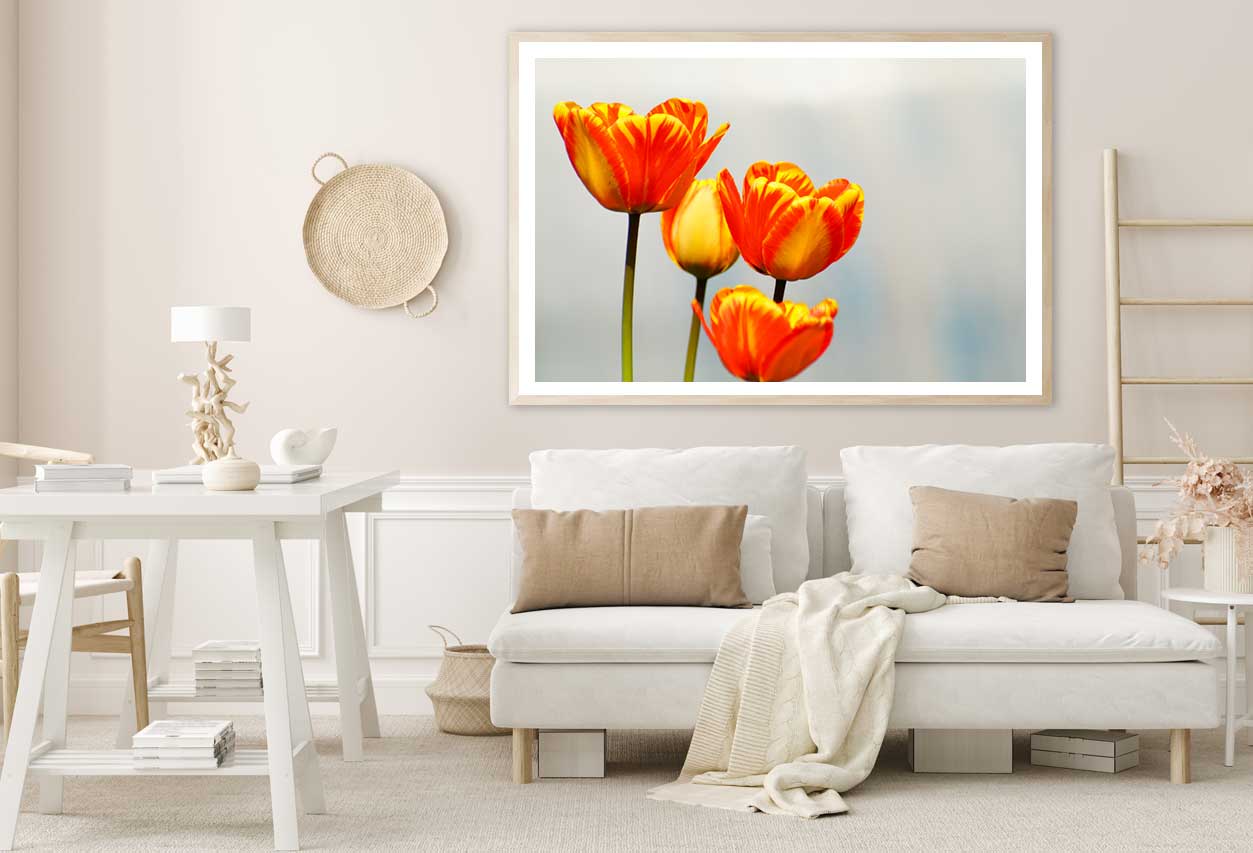 Orange Tulips Closeup Photograph Home Decor Premium Quality Poster Print Choose Your Sizes