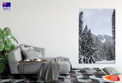 Snow Covered Pine Forest Trees Photograph Print 100% Australian Made