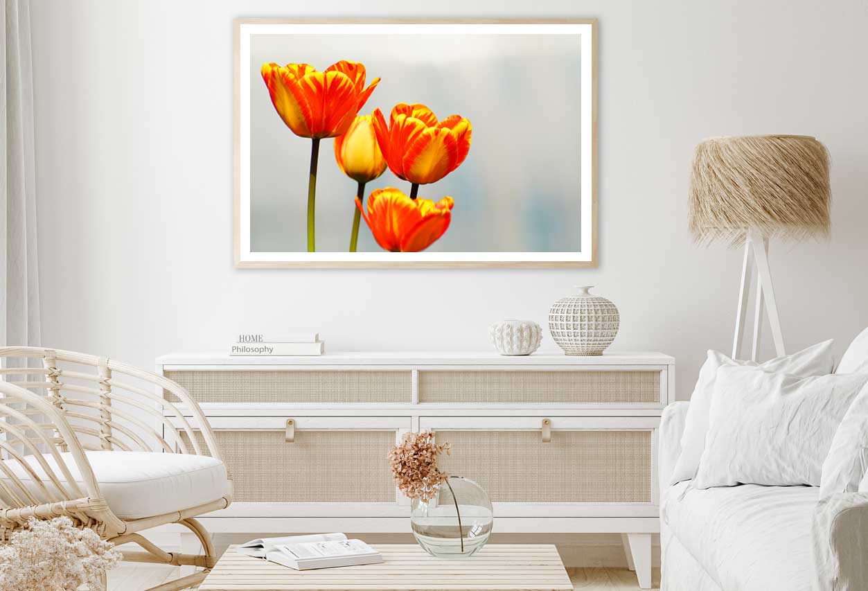 Orange Tulips Closeup Photograph Home Decor Premium Quality Poster Print Choose Your Sizes