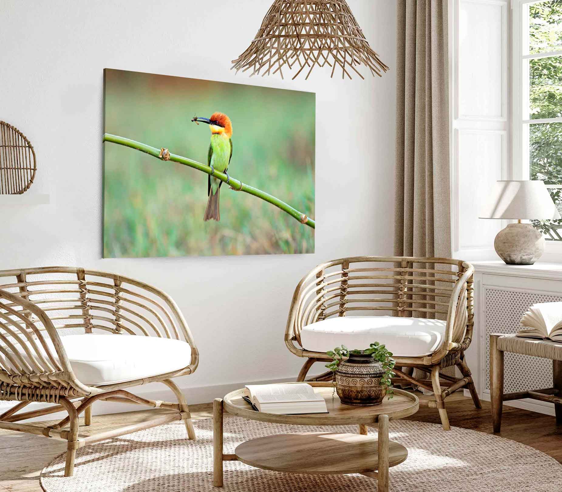 Bella Home Chestnut Headed Bee Eater Bird Print Canvas Ready to hang