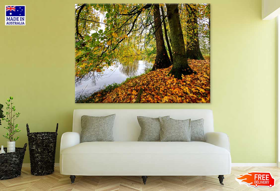 Autumn Forest Near Lake Photograph Print 100% Australian Made