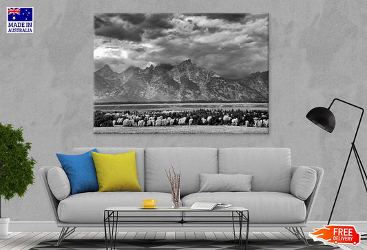 Forest Near Mountains B&W View Photograph Print 100% Australian Made