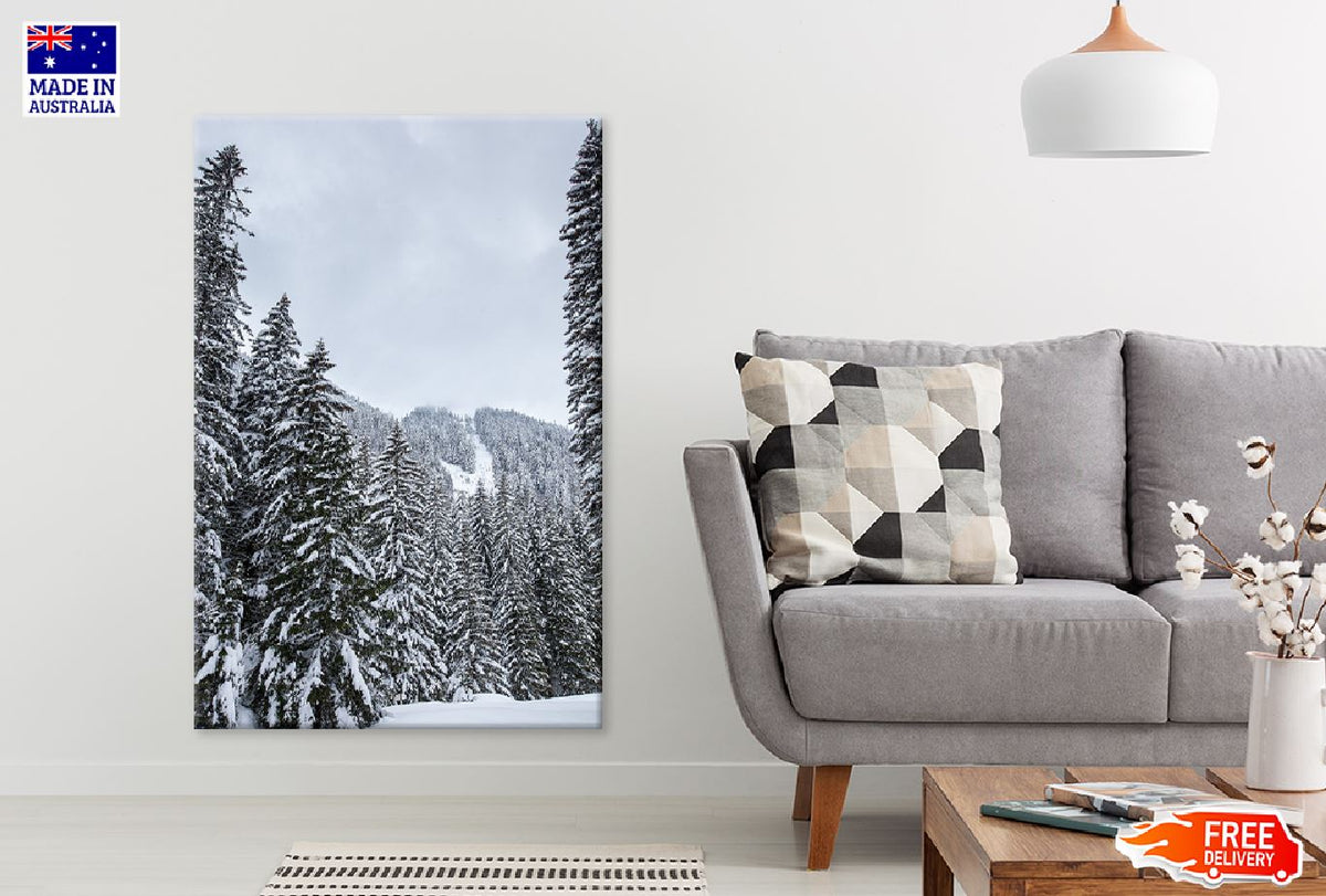 Snow Covered Pine Forest Trees Photograph Print 100% Australian Made
