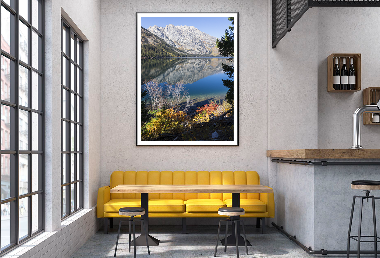 Mountain & Nature Forest View Photograph Home Decor Premium Quality Poster Print Choose Your Sizes