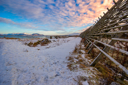 Wooden Fence on Snow Field View Photograph Print 100% Australian Made