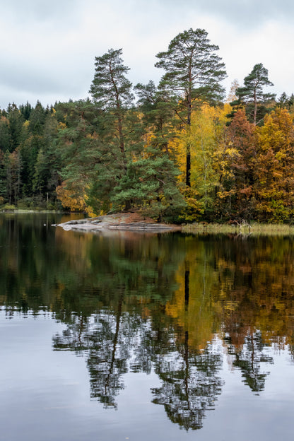 Autumn Tree View on Lake Scenery Photograph Home Decor Premium Quality Poster Print Choose Your Sizes