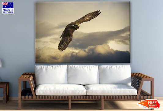 Eagle Flying Photograph Print 100% Australian Made