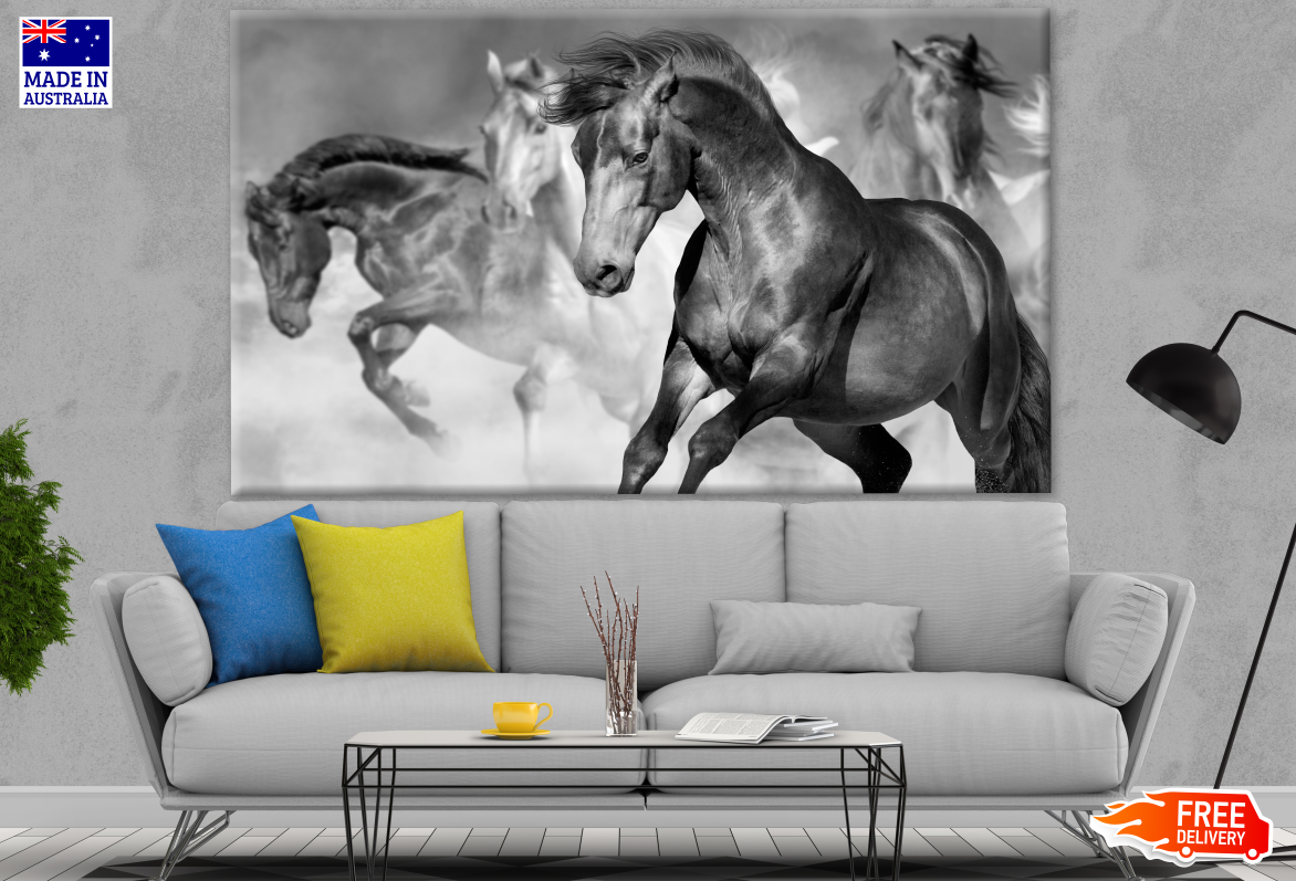 Stunning Horses Running B&W Photograph Print 100% Australian Made