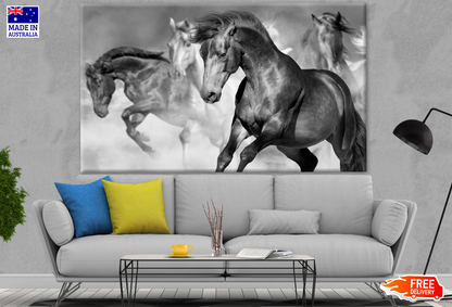 Stunning Horses Running B&W Photograph Print 100% Australian Made