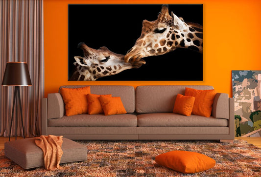 Giraffe Couple Love Portrait Photograph Print 100% Australian Made