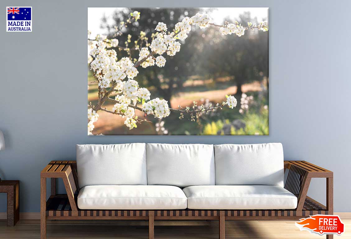 White Blossom Flower Tree Branch View Photograph Print 100% Australian Made