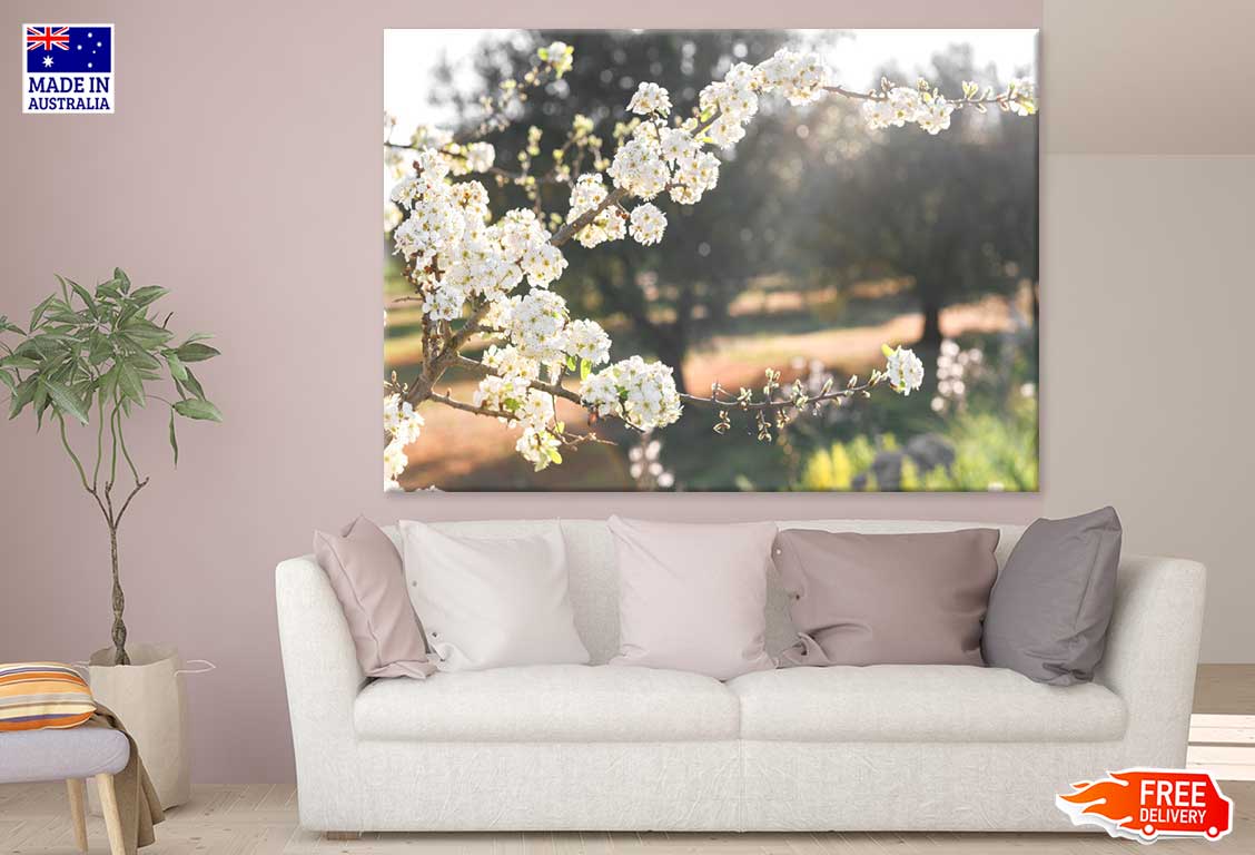 White Blossom Flower Tree Branch View Photograph Print 100% Australian Made