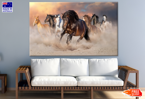 Horses Running On Desert Photograph Print 100% Australian Made
